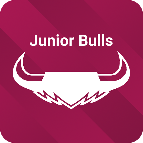 TFW Junior Bulls Logo