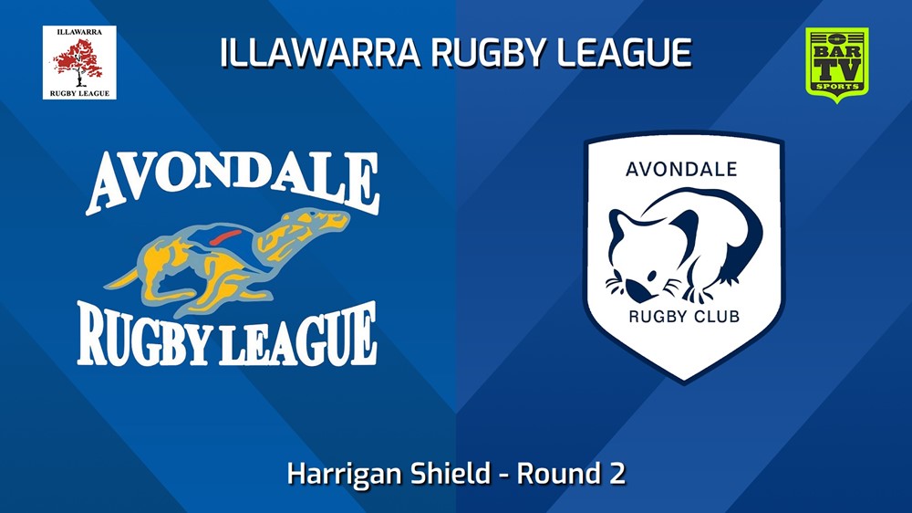 240427-video-Illawarra Round 2 - Harrigan Shield - Avondale Greyhounds v Avondale Wombats Slate Image