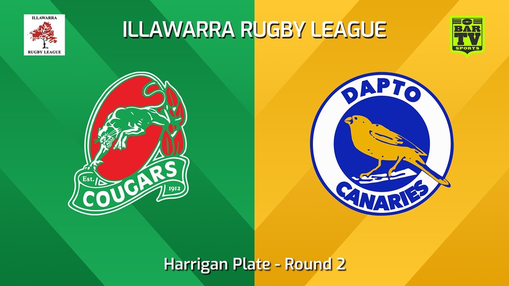 240428-video-Illawarra Round 2 - Harrigan Plate - Corrimal Cougars v Dapto Canaries Minigame Slate Image