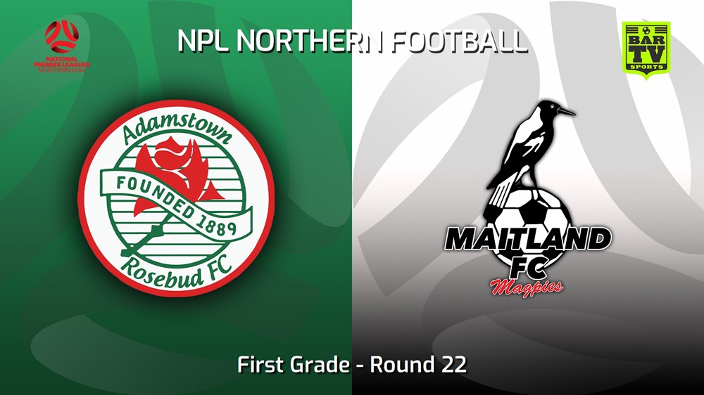 230813-NNSW NPLM Round 22 - Adamstown Rosebud FC v Maitland FC Slate Image