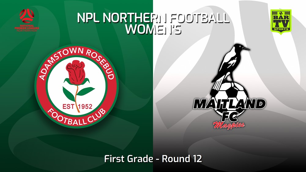 220618-NNSW NPLW Round 12 - Adamstown Rosebud JFC W v Maitland FC W Slate Image