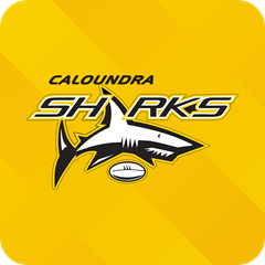 Caloundra Sharks Logo