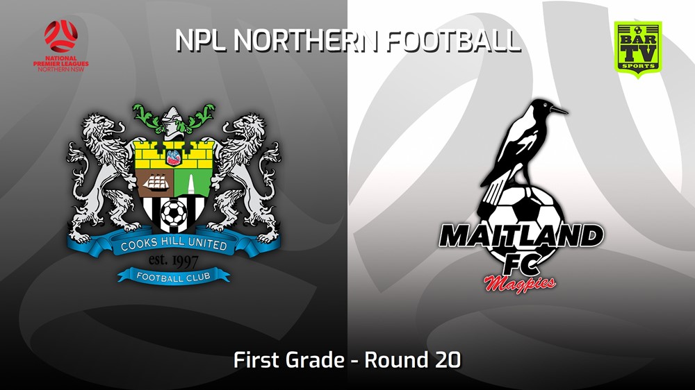 230722-NNSW NPLM Round 20 - Cooks Hill United FC v Maitland FC Slate Image