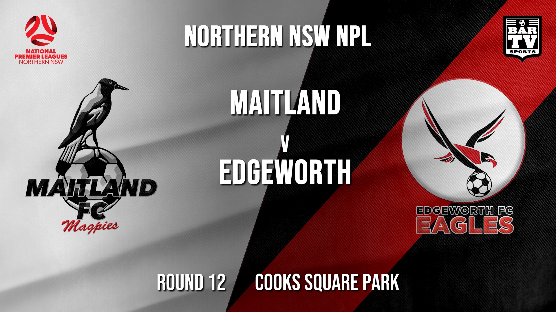 NPL - NNSW Round 12 - Maitland FC v Edgeworth Eagles FC Slate Image