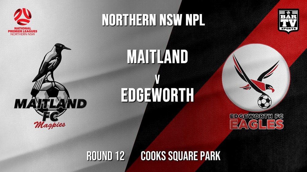 NPL - NNSW Round 12 - Maitland FC v Edgeworth Eagles FC Slate Image