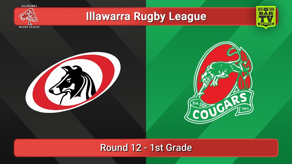 250726-video-Illawarra Round 12 - 1st Grade - Collegians v Corrimal Cougars Slate Image