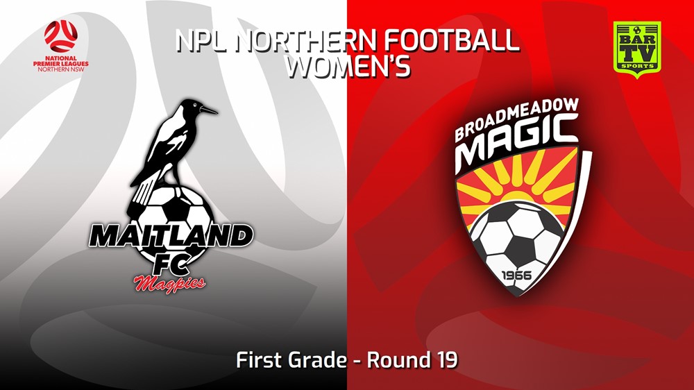 230730-NNSW NPLW Round 19 - Maitland FC W v Broadmeadow Magic FC W Slate Image