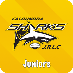 Caloundra Sharks JRL Logo