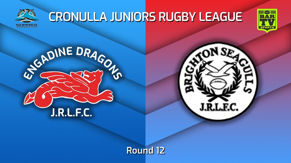 230715-Cronulla Juniors Round 12 - U12 Silver - Engadine Dragons v Brighton Seagulls Slate Image