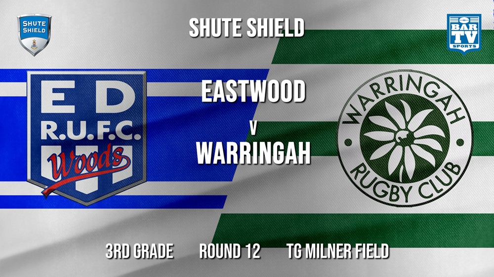 Shute Shield Round 12 - 3rd Grade - Eastwood v Warringah Minigame Slate Image