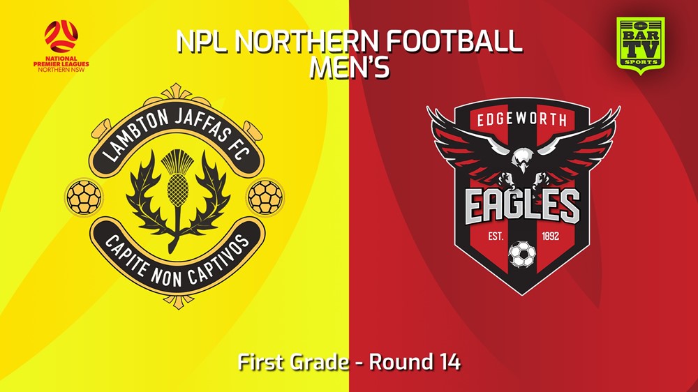 240803-video-NNSW NPLM Round 14 - Lambton Jaffas FC v Edgeworth Eagles FC Slate Image