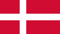 Danish Vikings Logo