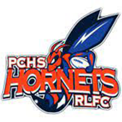 Pine Central Hornets Logo