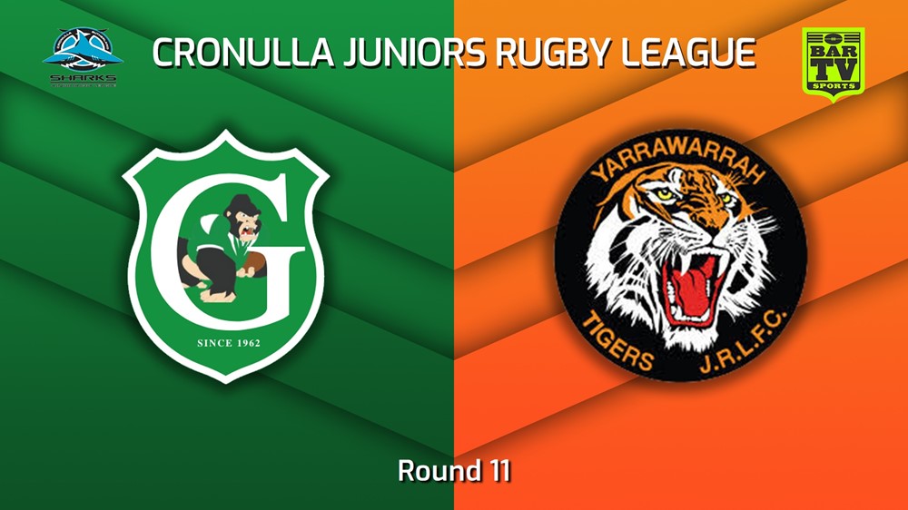 220716-Cronulla Juniors - U12 Silver Round 11 - Gymea Gorillas v Yarrawarrah Tigers Minigame Slate Image