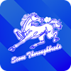 Scone Thoroughbreds Logo