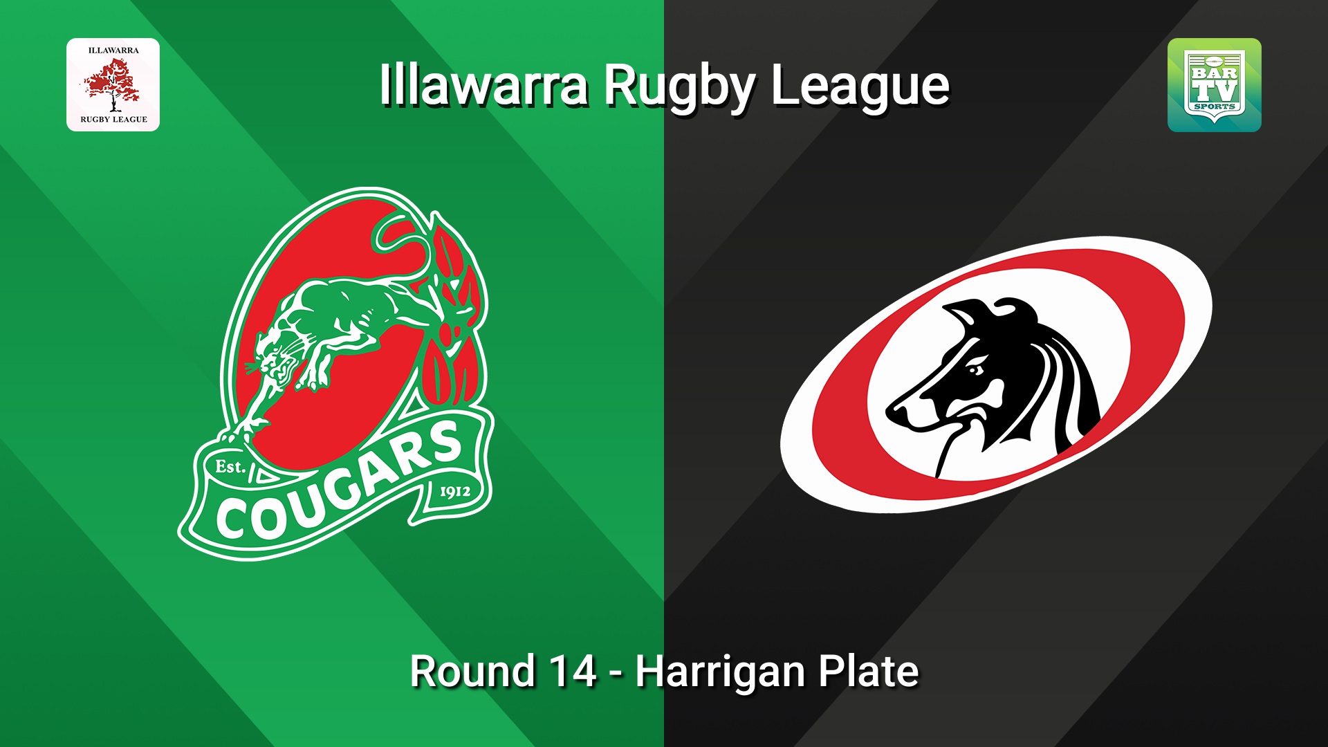 260815-video-Illawarra Round 14 - Harrigan Plate - Corrimal Cougars v Collegians Slate Image