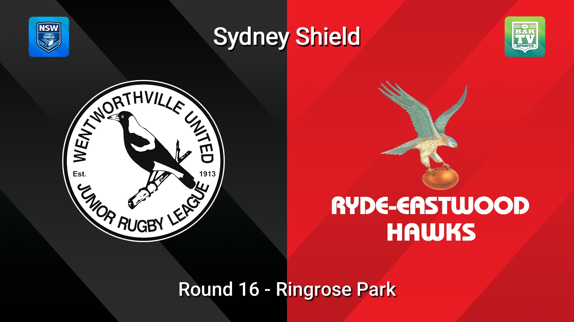 260726-video-Sydney Shield Round 16 - Wentworthville United v  Hawks Slate Image