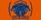 The Dark Wolves Team Logo