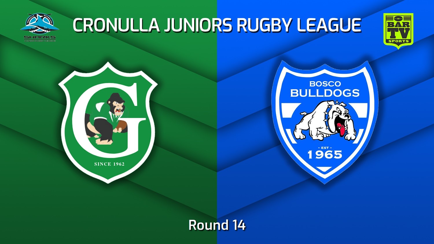 MINI GAME: Cronulla Juniors - U12 Blues Tag Gold Round 14 - Gymea Gorillas v St John Bosco Bulldogs Slate Image