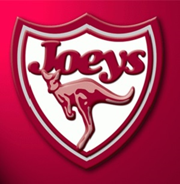 St Josephs Logo