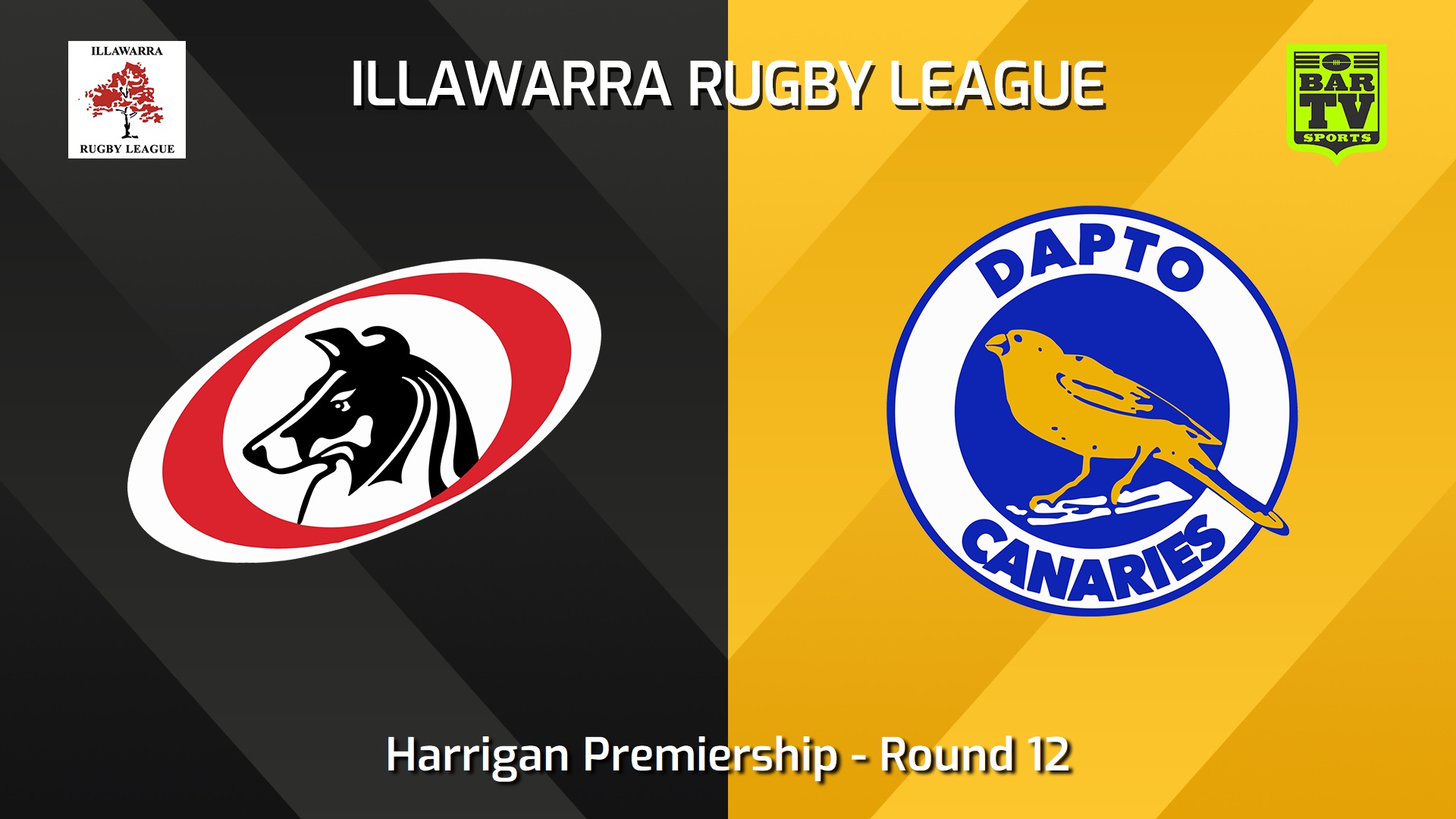 240720-video-Illawarra Round 12 - Harrigan Premiership - Collegians v Dapto Canaries Slate Image