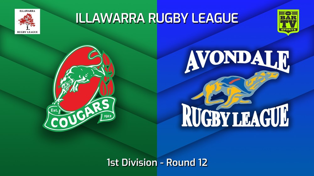 220723-Illawarra Round 12 - 1st Division - Corrimal Cougars v Avondale Greyhounds Minigame Slate Image