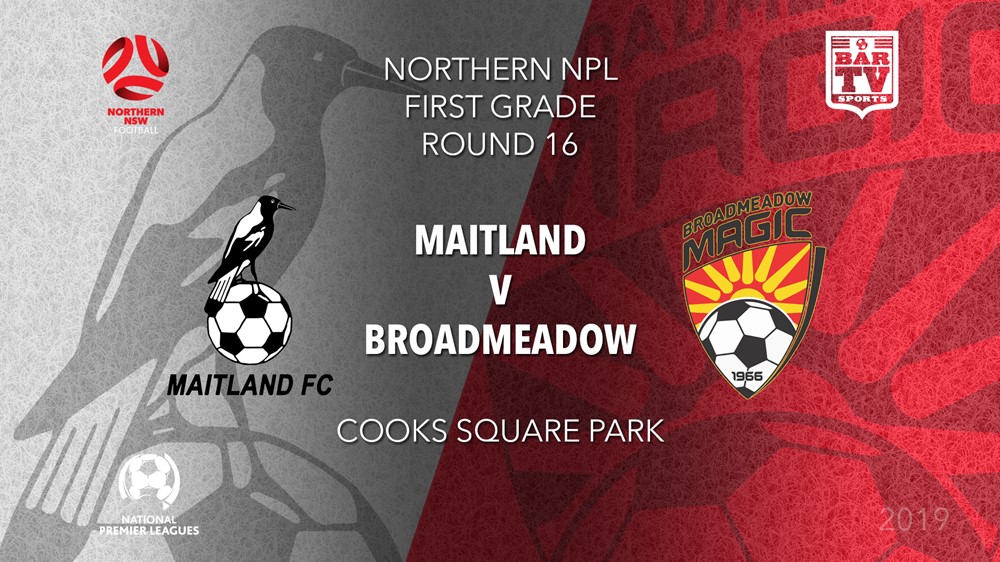 NPL - NNSW Round 16 - Maitland FC v Broadmeadow Magic FC Slate Image