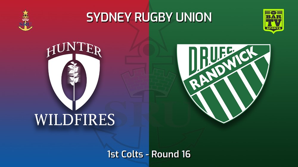 MINI GAME: Sydney Rugby Union Round 16 - 1st Colts - Hunter Wildfires v Randwick Slate Image
