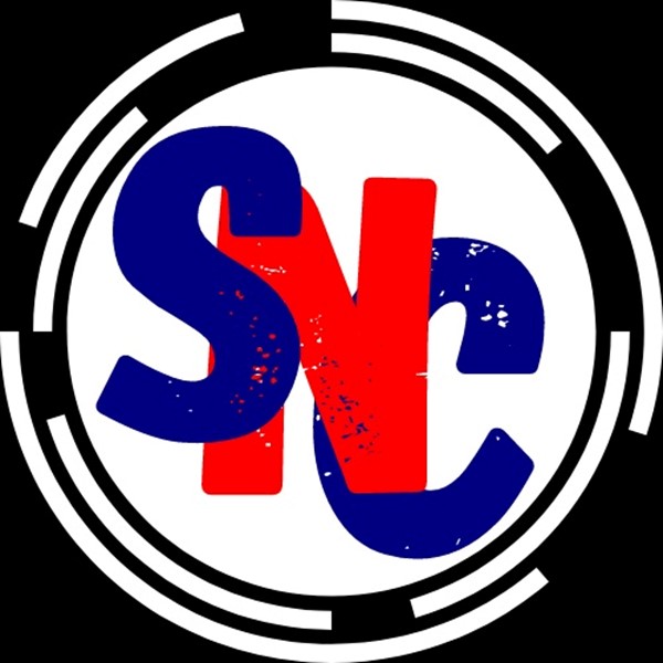 Southern Valkyries Logo