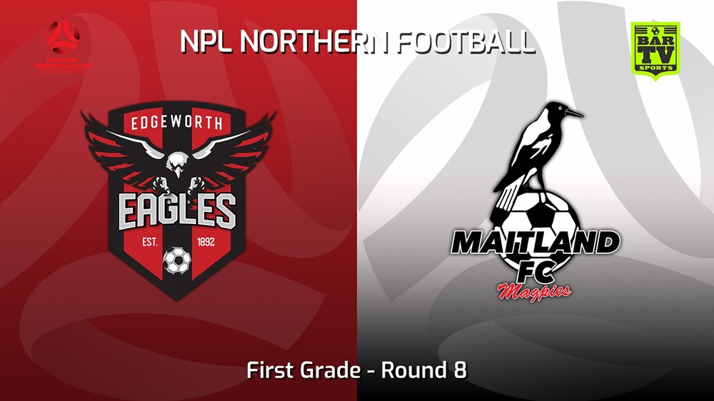 230423-NNSW NPLM Round 8 - Edgeworth Eagles FC v Maitland FC Slate Image