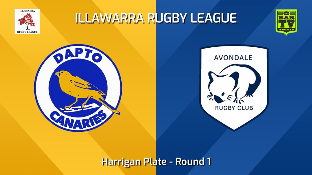 240420-video-Illawarra Round 1 - Harrigan Plate - Dapto Canaries v Avondale Wombats Minigame Slate Image