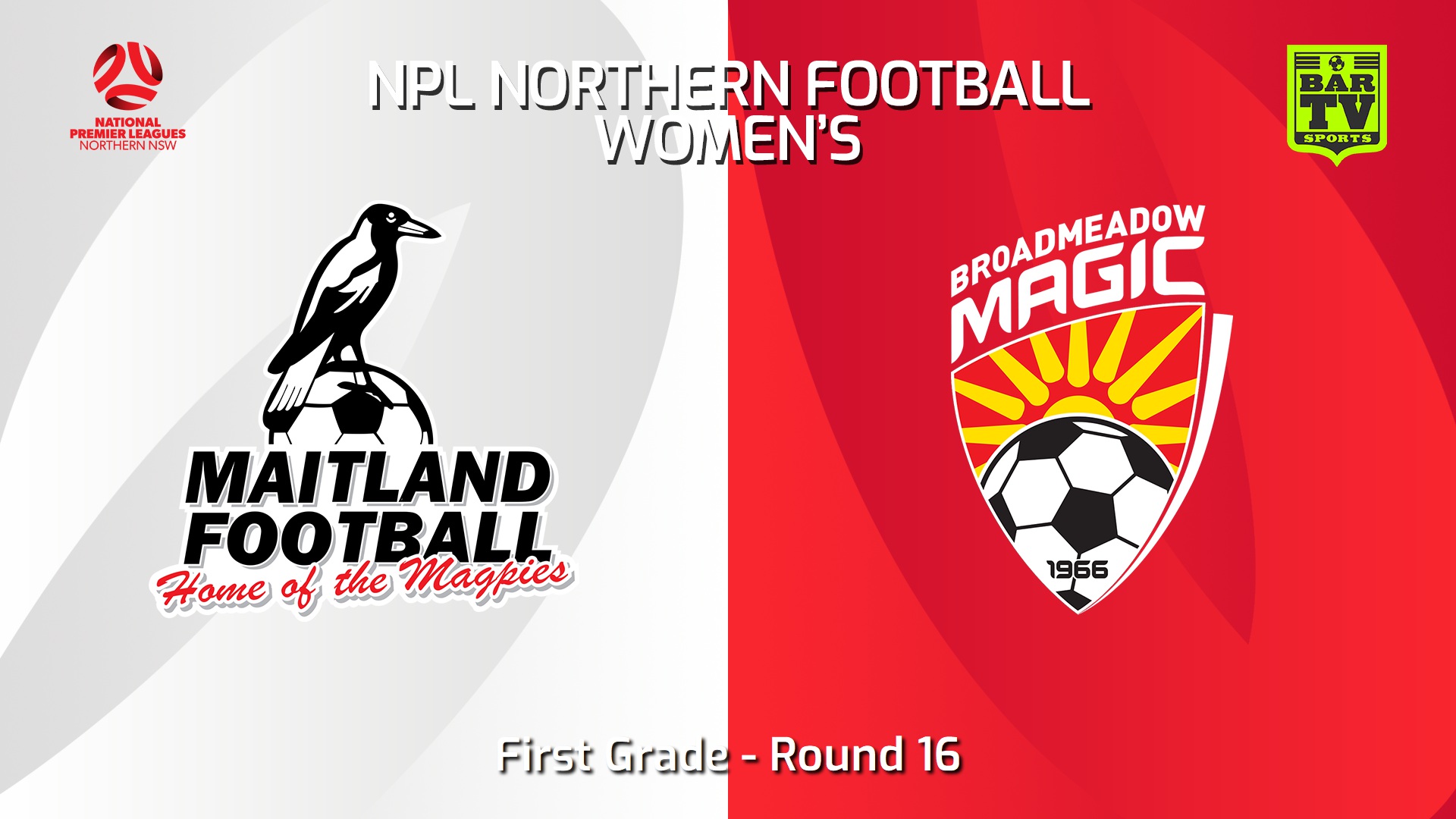 240629-video-NNSW NPLW Round 16 - Maitland FC W v Broadmeadow Magic FC W Slate Image