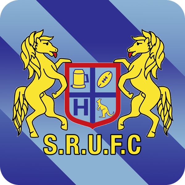 Scone Brumbies Logo