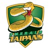 Emerald Logo