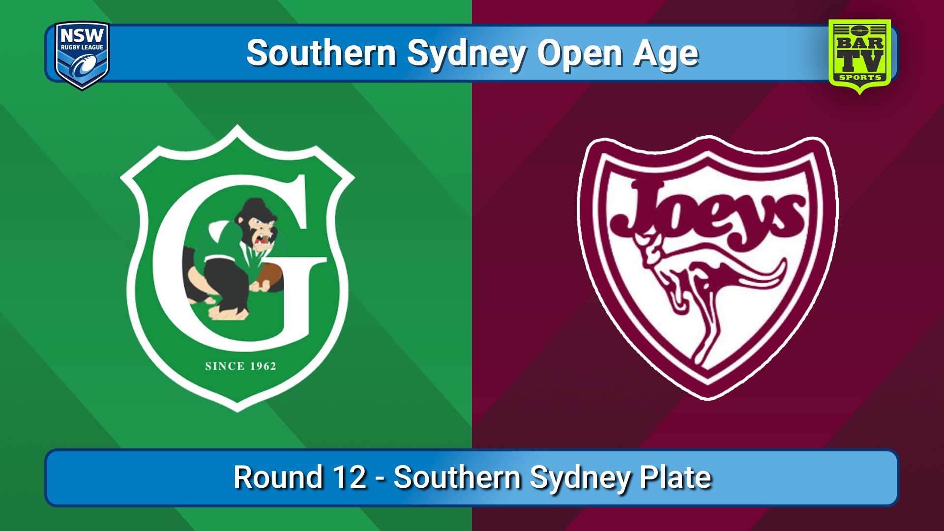 250705-video-S. Sydney Open Round 12 - Southern Sydney Plate - Gymea Gorillas v St Josephs Minigame Slate Image