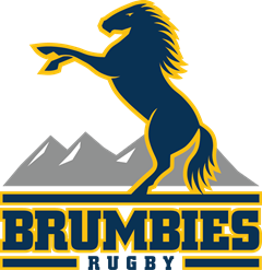 Brumbies Country Logo