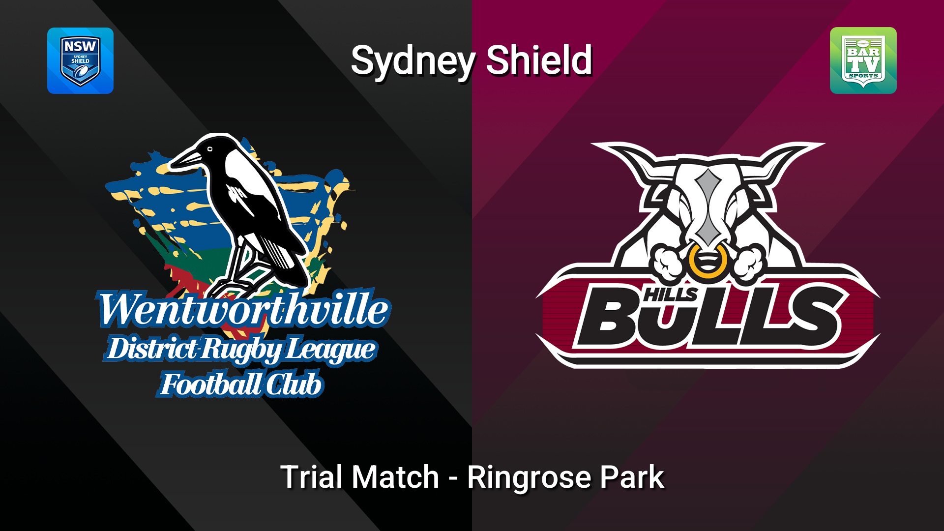 260228-video-Sydney Shield Trial Match - Wentworthville Magpies  v Hills Bulls Slate Image