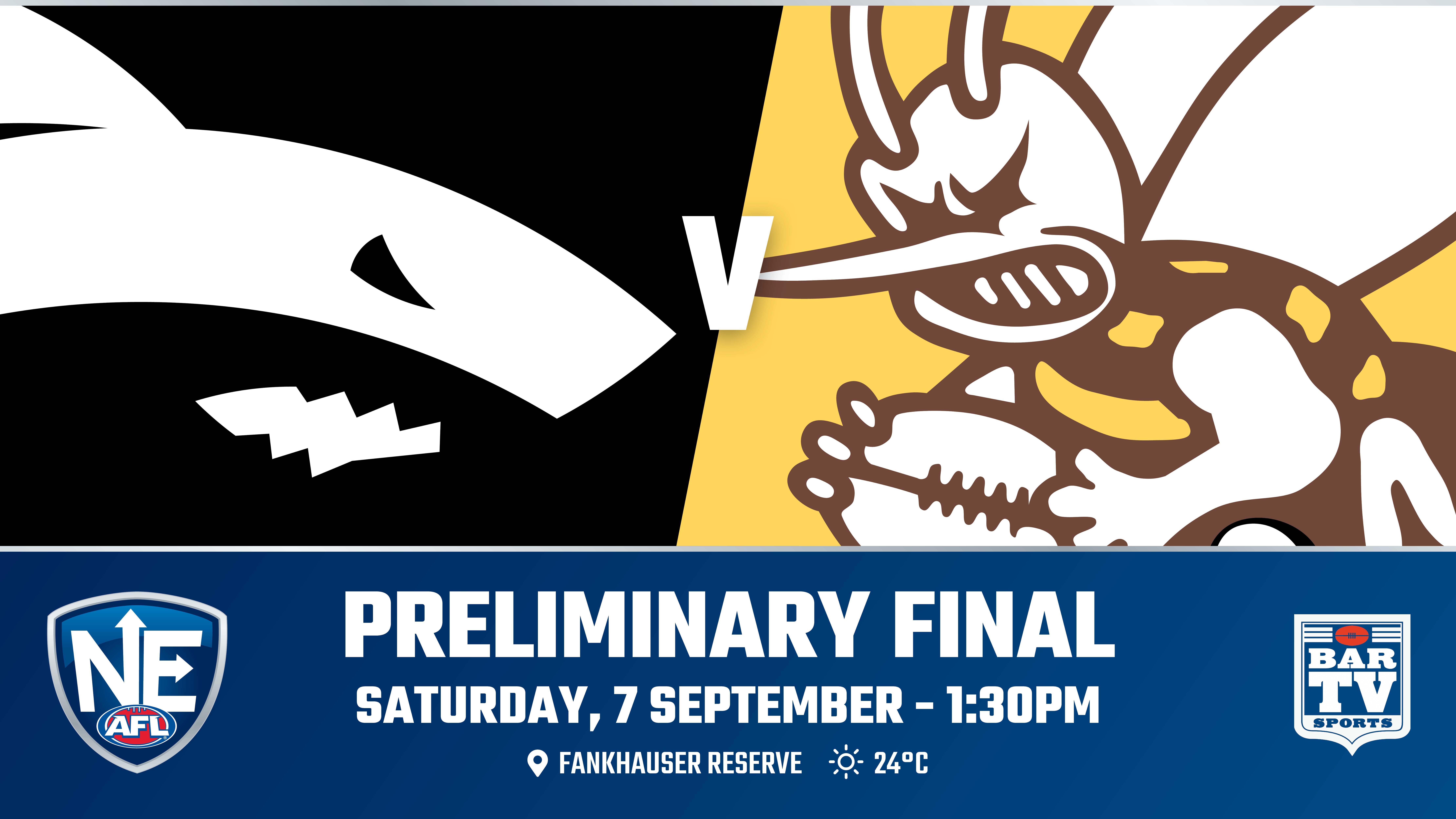NEAFL Prelim Final - Southport Sharks v Aspley Hornets Slate Image