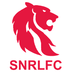 South Newcastle Logo