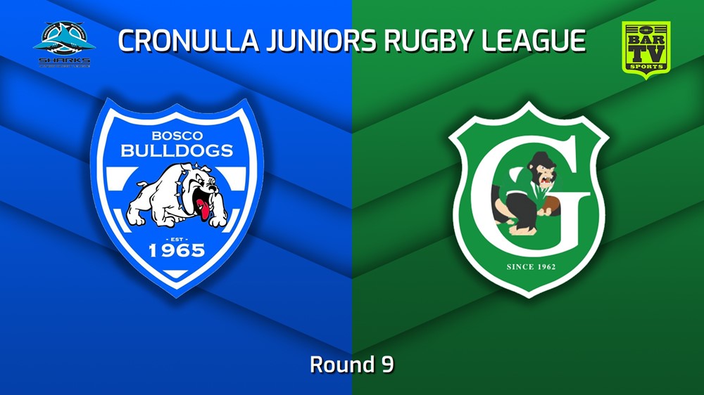 MINI GAME: Cronulla Juniors Round 9 - St John Bosco Bulldogs v Gymea Gorillas Slate Image