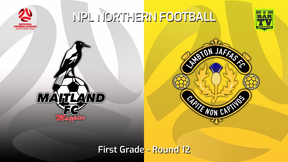 230520-NNSW NPLM Round 12 - Maitland FC v Lambton Jaffas FC Minigame Slate Image