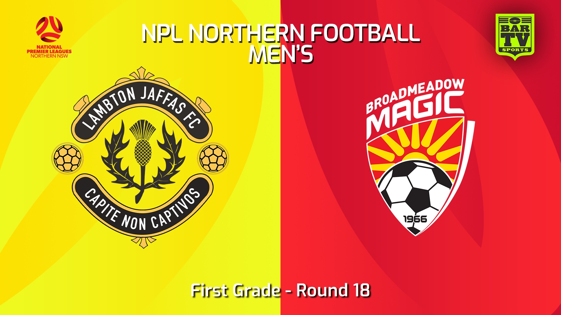240706-video-NNSW NPLM Round 18 - Lambton Jaffas FC v Broadmeadow Magic Slate Image