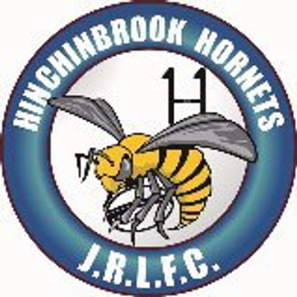 Hinchinbrook Hornets Logo