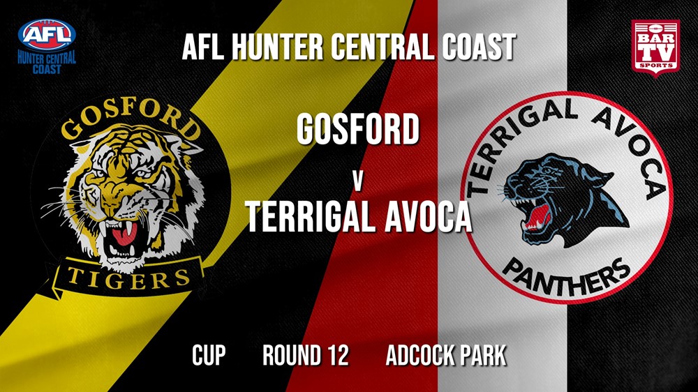 AFL HCC Round 12 - Cup - Gosford Tigers v Terrigal Avoca Panthers Slate Image