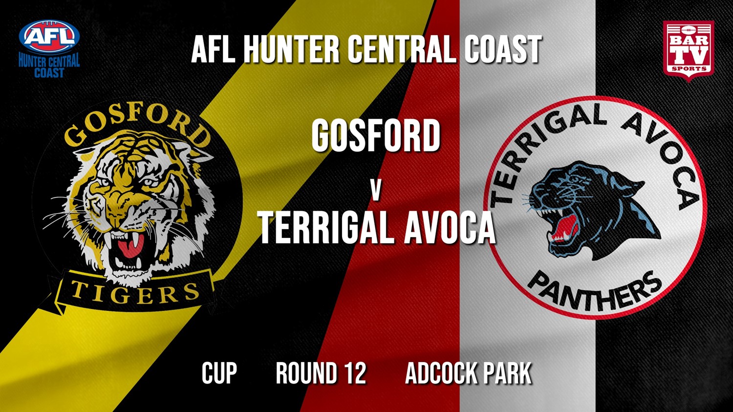 AFL HCC Round 12 - Cup - Gosford Tigers v Terrigal Avoca Panthers Minigame Slate Image