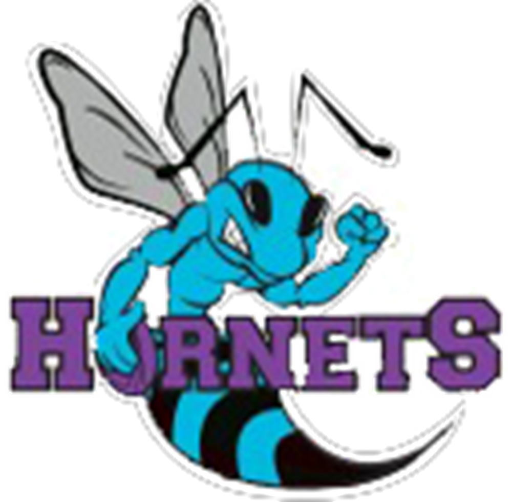 Watch HORNETS Matches LIVE On BarTV Sports watch-hornets-matches-live-on-bartv-sports