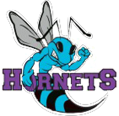 HORNETS Logo