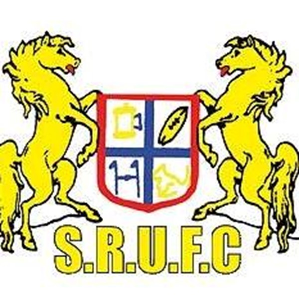 Scone Brumbies Logo