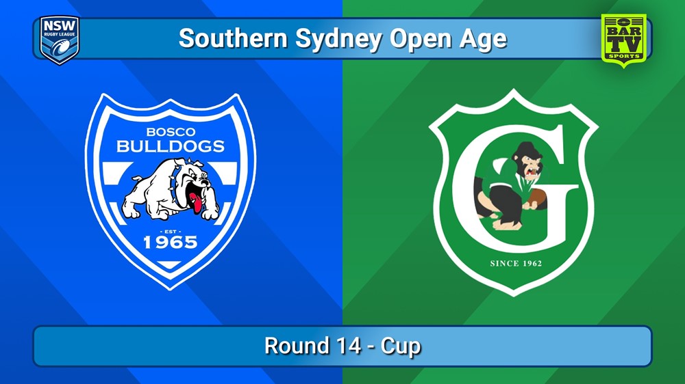 250726-video-S. Sydney Open Round 14 - Cup - St John Bosco Bulldogs v Gymea Gorillas Slate Image