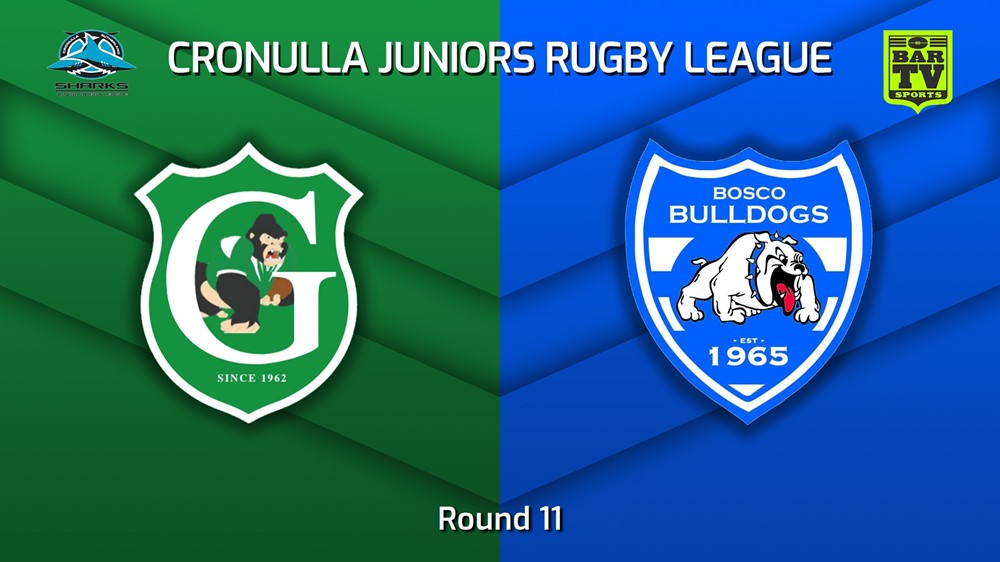 220716-Cronulla Juniors - U6 Gold Round 11 - Gymea Gorillas v St John Bosco Bulldogs Slate Image
